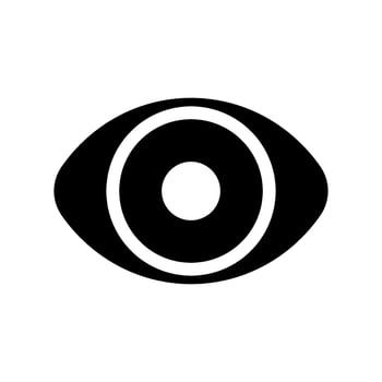 View Icon Vector Symbol Design Illustration