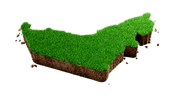 Dubai UAE Map Grass and ground texture 3d illustration png