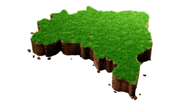 Brazil Map Grass and ground texture 3d illustration png
