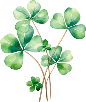 Lucky clover leaves with four leaf. Patricks day watercolor clipart. png