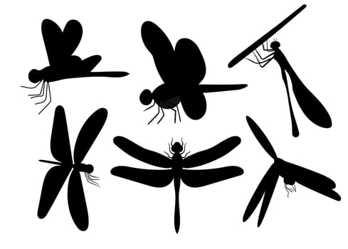 Dragonfly black silhouettes set. Icons insect flying in differentposes. Vector illustration isolated on white background