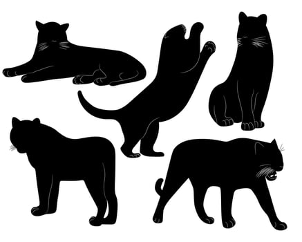 Tiger black silhouettes set. Animals Wild cat icons in different poses. Vector illustration isolated on white background