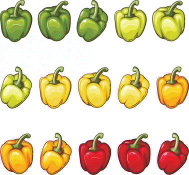 Fresh Vegetables Illustration,  Vegetables Mix vector