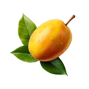 Yellow rip mango with green leaves on transparent background png