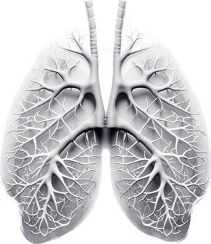 Lung with . png