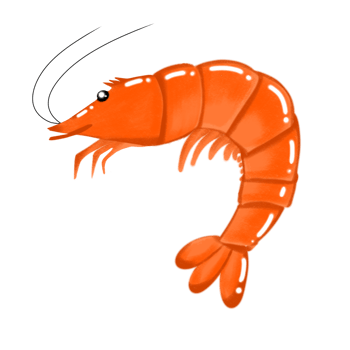 shrimp png clipart