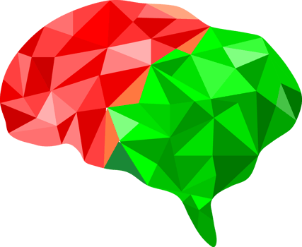 Brain anatomy thinking idea for decoration abstract background png