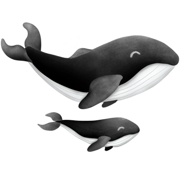 The black whale png