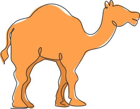 One continuous line drawing of cute Arabian camel. Wild animal national park conservation. Safari zoo concept. Dynamic single line draw design illustration graphic png