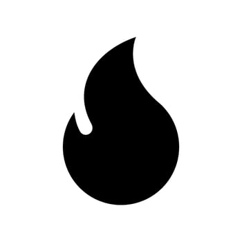 Fire Icon Vector Symbol Design Illustration