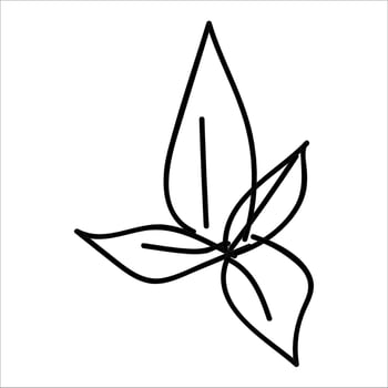 Flower illustration with isolated hand-drawn style on a white background, suitable for children to draw abstract illustrations. vector