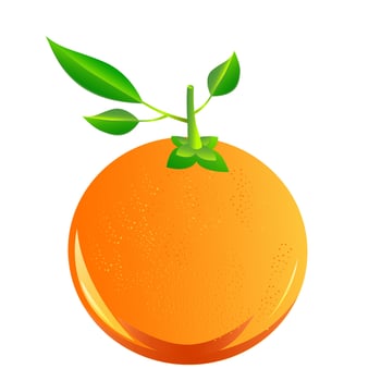 Orange fruit juicy yellow ripe art illustration vector