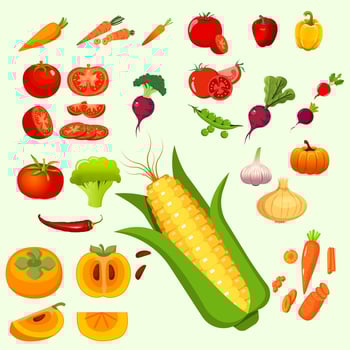set of vector vegetables icons in cartoon style. Collection farm product for restaurant menu