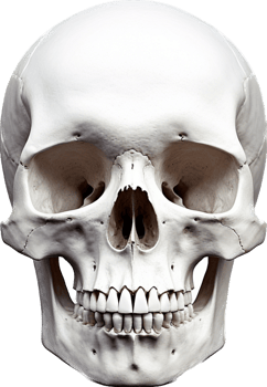Skull with . png