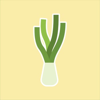 Green spring onions flat design vector illustration. Green onions, Allium. Salad onions, wild cherries, shallots, leeks, skoroda and Chinese onions. A herbaceous plant from the Onion family.