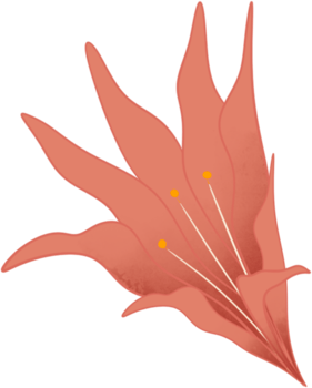 Hibiscus rosa-sinensis, decoration png
