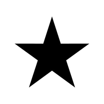Star Icon Vector Symbol Design Illustration