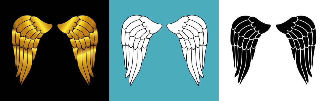 Hand drawn bird or angel wings with different style and color design. Vintage heraldic wings sketch. Contoured doodle wings vector