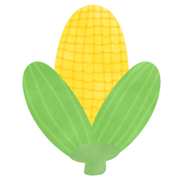 Drawing of corn isolated on transparent background for usage as an illustration, food, fruits and eating concept png