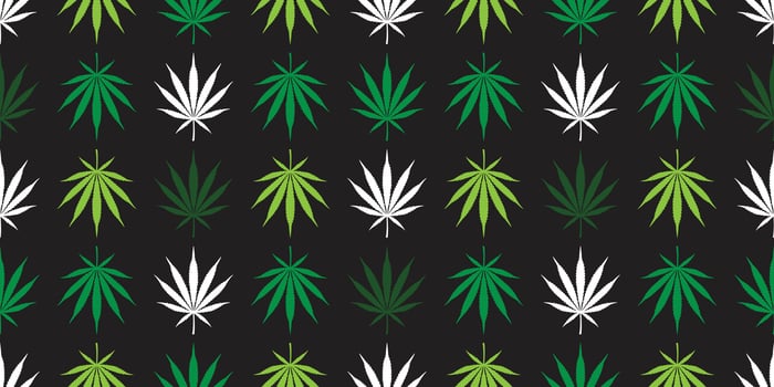 Marijuana seamless pattern vector cannabis weed leaf repeat wallpaper tile background scarf isolated plant