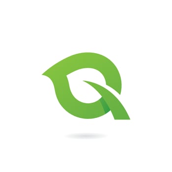 Letter Q logo with Leaf shape design template elements vector