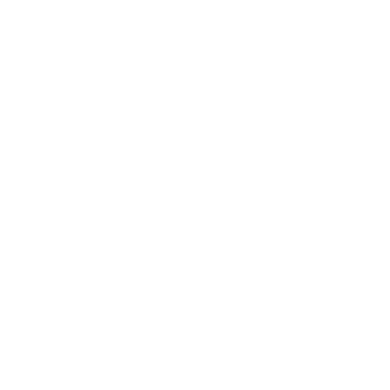 Beautiful Dolphin Silhouette - png