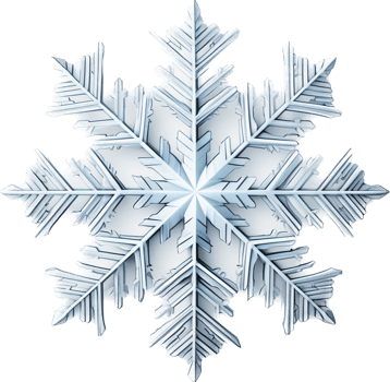 Snowflake with . png