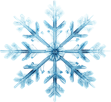 Snowflake with . png