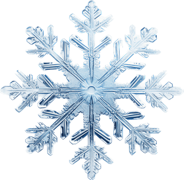 Snowflake with . png