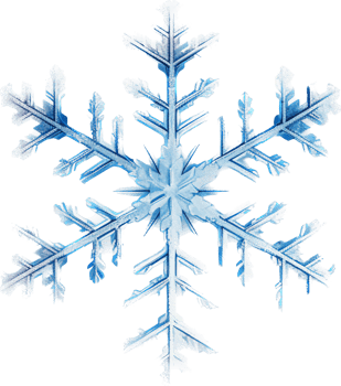 Snowflake with . png