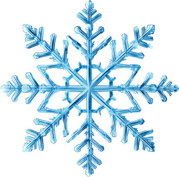 Snowflake with . png