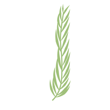 Green Palm Leaf png