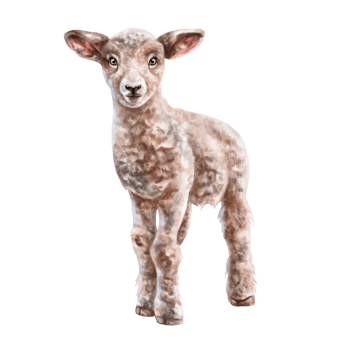 Cute fluffy lamb of light brown color in full growth. Digital illustration. Isolated objects. From the farmer's collection. For compositions, design, prints, stickers, posters, postcards png