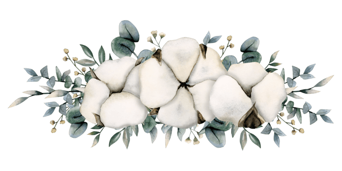 Cotton, eucalyptus branches with grass and tiny yellow flowers watercolor illustration. Hand drawn rustic banner png