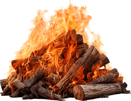 Bonfire with . png