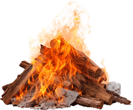 Bonfire with . png