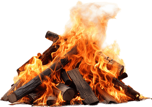 Bonfire with . png