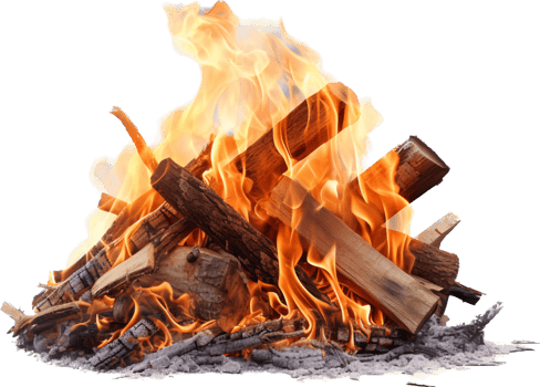 Bonfire with . png