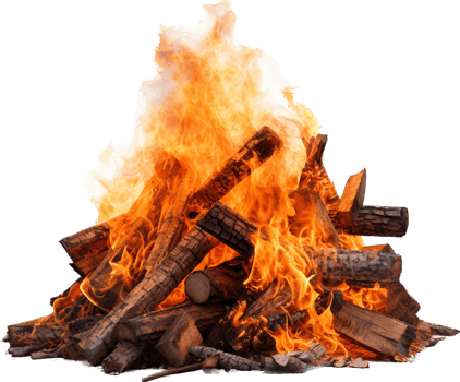 Bonfire with . png