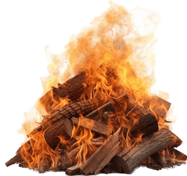 Bonfire with . png