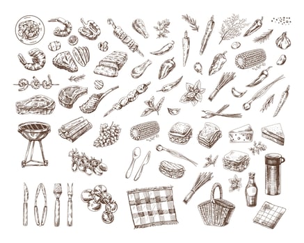 A set of hand-drawn sketches of barbecue and picnic elements. For the design of the menu of restaurants and cafes, grilled food. Doodle vintage illustration. Engraved image. vector