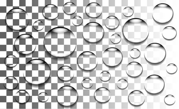 Realistic water drops vector