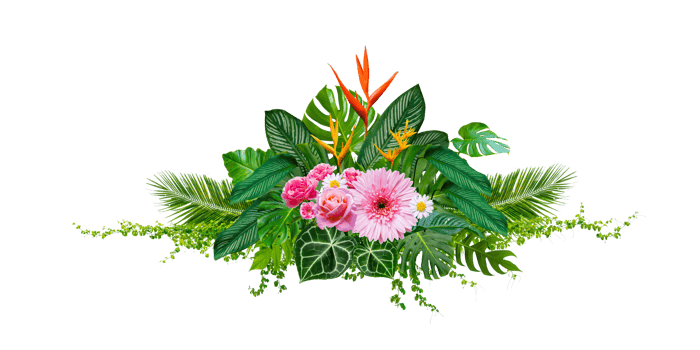 Cluster of bouquets and tropical jungle leaves and vines on white background. Isolate on transparent background PNG file.