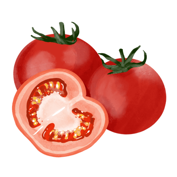 fresh red tomato PNG free