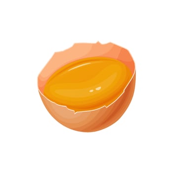 Chicken egg. Baking and cooking Ingredients. Healthy organic food. vector