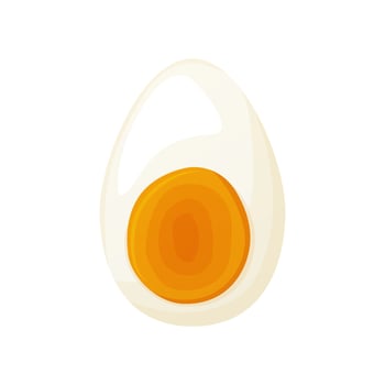 Chicken egg. Baking and cooking Ingredients. Healthy organic food. vector
