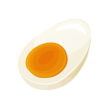 Chicken egg. Baking and cooking Ingredients. Healthy organic food. vector