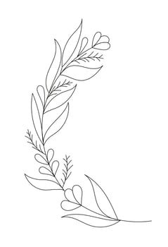 Hand drawn wild field flora, flowers, leaves, herbs, plants, branches. Minimal floral botanical line art. vector