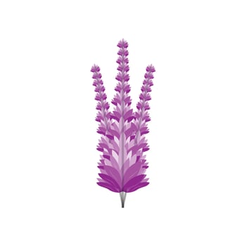 Lavender Logo, Purple Plant Vector, Garden Design, Illustration Symbol Template vector