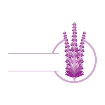 Lavender Logo, Purple Plant Vector, Garden Design, Illustration Symbol Template vector